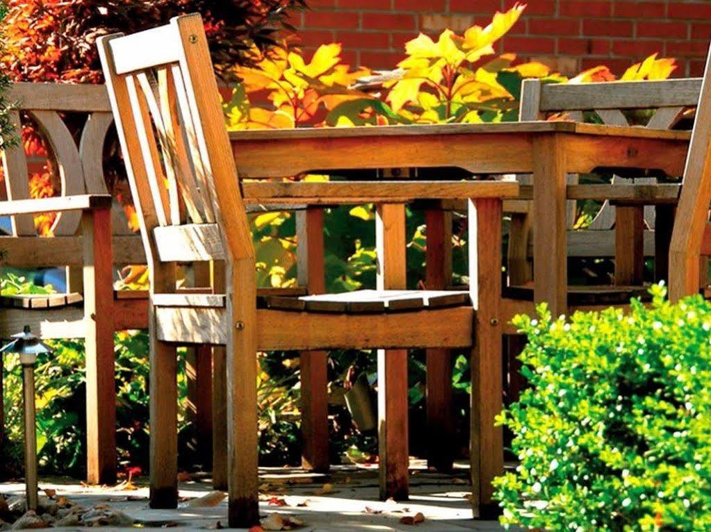 Logis Terrasse Hotel Лизьё Экстерьер фото
